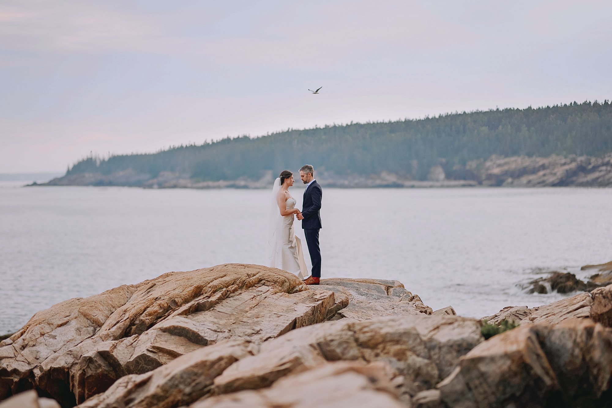 acadia wedding