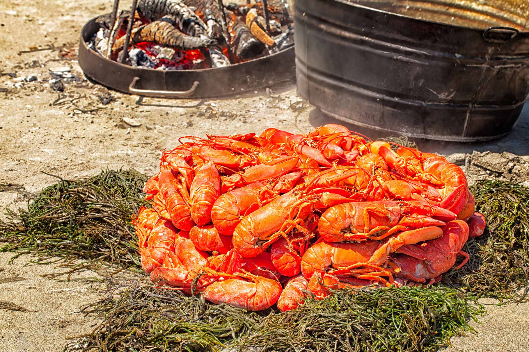 maine lobster bake weddings