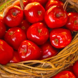 Autumn Wedding Photo