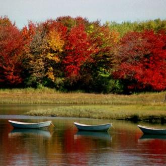 Autumn Wedding Photo