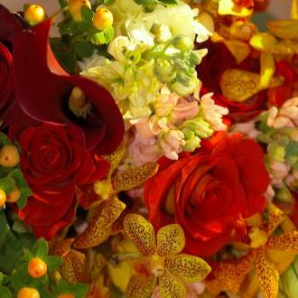 Autumn Wedding Photo