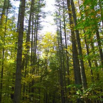 Maine Lakes and Mountains Wedding Photo