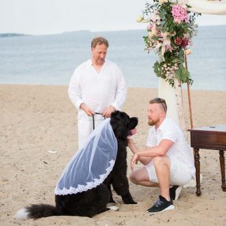 wedding on a beach in Maine