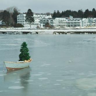 Winter Wedding Photo